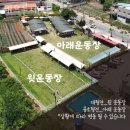 김포대형카페 추천 개으른세상 경기도 베이커리 카페 후기