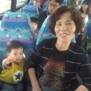 재하목장 이미지