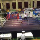 이천철권복싱체육관 이미지