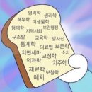 보나덴탈 | 51회 치과위생사 국가고시 실기/필기 합격 후기