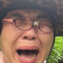 개심 이미지