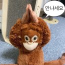 황금숯불꼬기 | [용인 처인구] 에버랜드 근처 한돈 한우 맛집 , 맥돈한우(feat. 소주 무한리필)