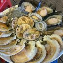 왕돌회수산 이미지