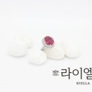 디자인샵 이미지