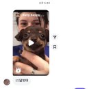 인생은 타임어택