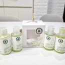 아씨헤어라인 이미지