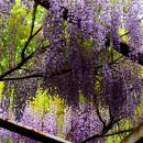 삼풍식당 이미지