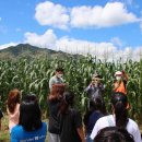 가평청소년문화의집 이미지