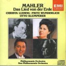 대지의 노래 이미지