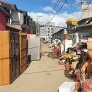 (2022.09.05)태풍 힌남노 태풍 피해 이미지