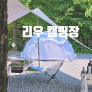 리우농장 | 동물농장캠핑장 경북 문경 리우캠핑장 계곡캠핑장 여름 캠핑 추천 그래가앱 예약사이트