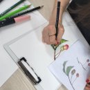 보태니컬아트(색연필화) 이미지