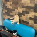 비앤씨미용실 이미지