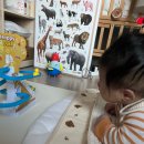 단(체력단련장업) | 실내 육아템] 생후 70일부터 뽕 뽑은 훈민출판사 병풍! 아빠표 체력단련 놀이법 3가지 (ft. 스티커 카드)