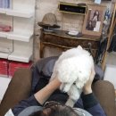 헤어세상 이미지