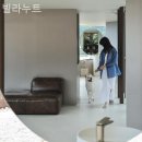 빌라누트 | 경기도애견동반펜션 빌라누트 실내데이트