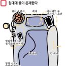 귤대장