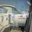 명주할인마트 | 마그레브, 유리호텔, 야인선생 젤라또, 난징동루 미니소랜드, 동방명주, 주광옥훠궈 고덕지도 포함)