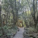 선녀와나무꾼순두부 | 제주도 스타리아 투어 친구들과 다녀 온 이용 후기