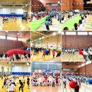 부산초등학교 | 런,밋」 운동회후기 부산운동회 부산유아체육 부산실버체육 부산초등학교운동회 부산에어바운스대여...