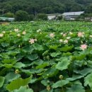 곰내추어탕 이미지