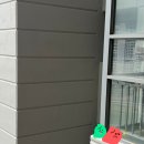 구구컴퍼니 | 비둘기와의 전쟁선포! 아파트 실외기 비둘기 퇴치 방법 추천