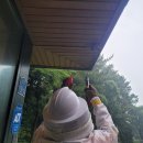 제주 상효동-5 제주일보