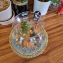 이화수전통육개장 (자운대점) 이미지