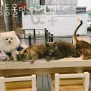 송정동물메디컬센터 이미지