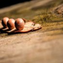 죽령감자탕 이미지