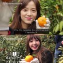 지수농장 이미지