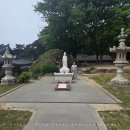 C.I.O | 인천 문학동용한점집 다녀오고 막힌 운 트인 것 같아요