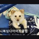 고니복싱다이어트클럽