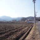 달곡 티스토리