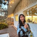 늘포레 | [안산/대부도] 나만 알고 싶은 숲속 아지트 '늘포레 with 그라츠커피랩', 햇살 맛집에서 즐기는 인생...