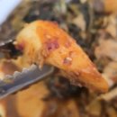 금빛코다리 이미지