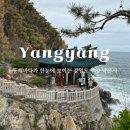 양양 낙산사 칠층석탑 | 양양 볼거리 가볼만한곳 동해 바다가 한눈에 보이는 낙산사