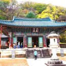 신흥사 이미지