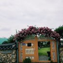 우아한개 | [담양 카페] 우아한마카롱 | 광주근교 후르츠산도 맛집 후기 및 능소화명소 산책