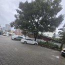 교동짬뽕 앞 | 강원도 속초 여행 해장 맛집 [교동짬뽕 본점] 내돈내산 후기