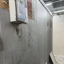 부산종합식품 | 부산 냉동창고 청소 전문업체 추천 청부종합청소 냉동창고 내부 완벽 청소 후기 🧹