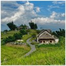 DAO베트남쌀국수 | 토파스 에코로지 |베트남 사파 숙소 여행 후기