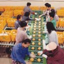 신안할인마트 이미지