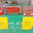 동그라미농장 이미지