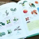 동물식물 자연과학교실 이미지