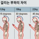 엘메드