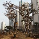 덕천초등학교후문 건너편(1) 이미지