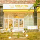 골드피그 이미지