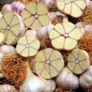 으뜸농약 이미지