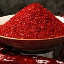 스카이에프엔비 | 이장우 조혜원 7년 열애 끝 결혼 신혼여행은 내년 상반기